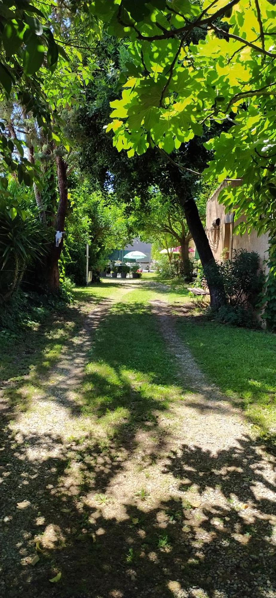 דירות Abrivado Aimargues En Petite Camargue מראה חיצוני תמונה